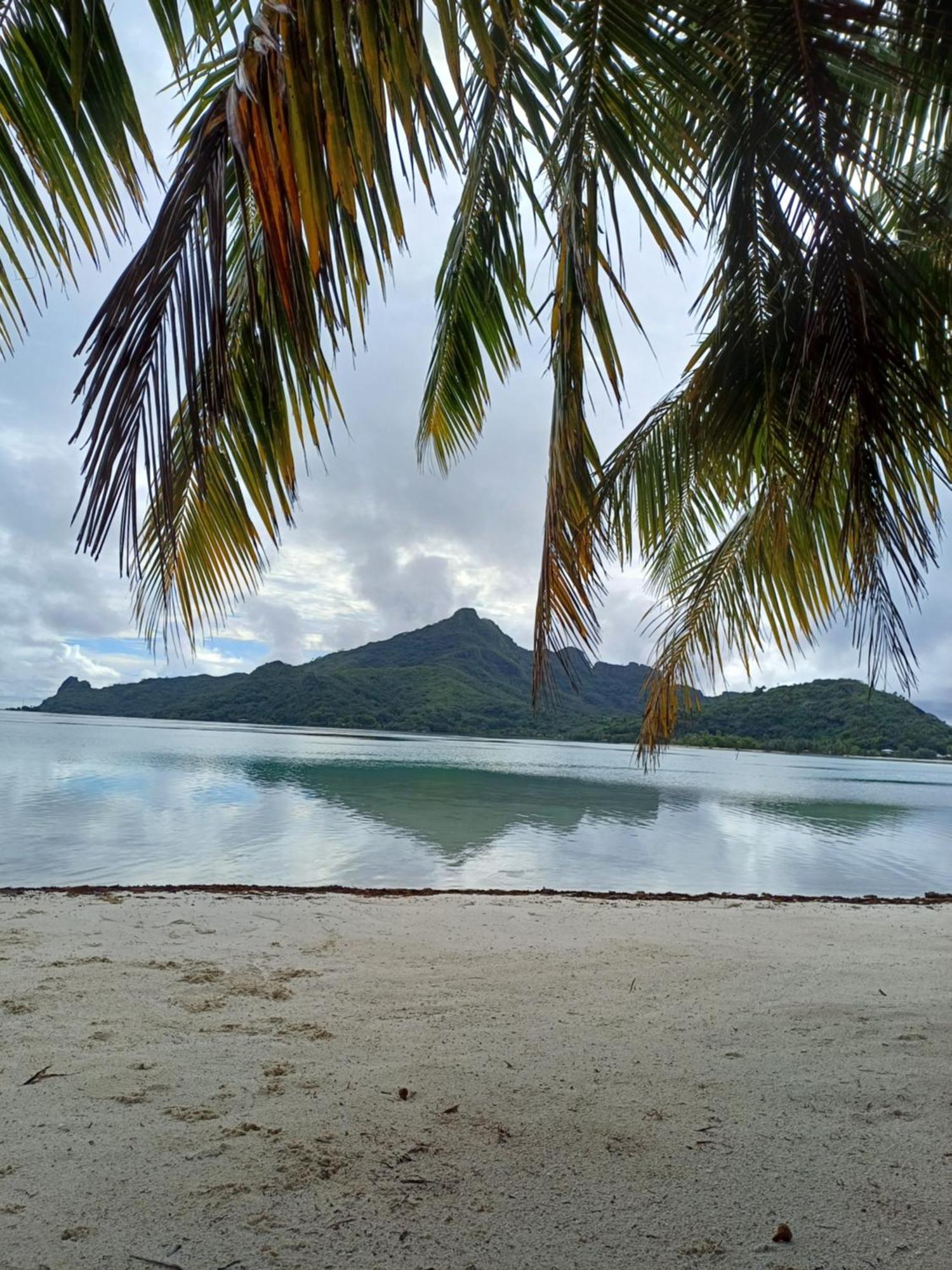 Poemanahere Island Camping A Maupiti Te-Fare-Arii المظهر الخارجي الصورة
