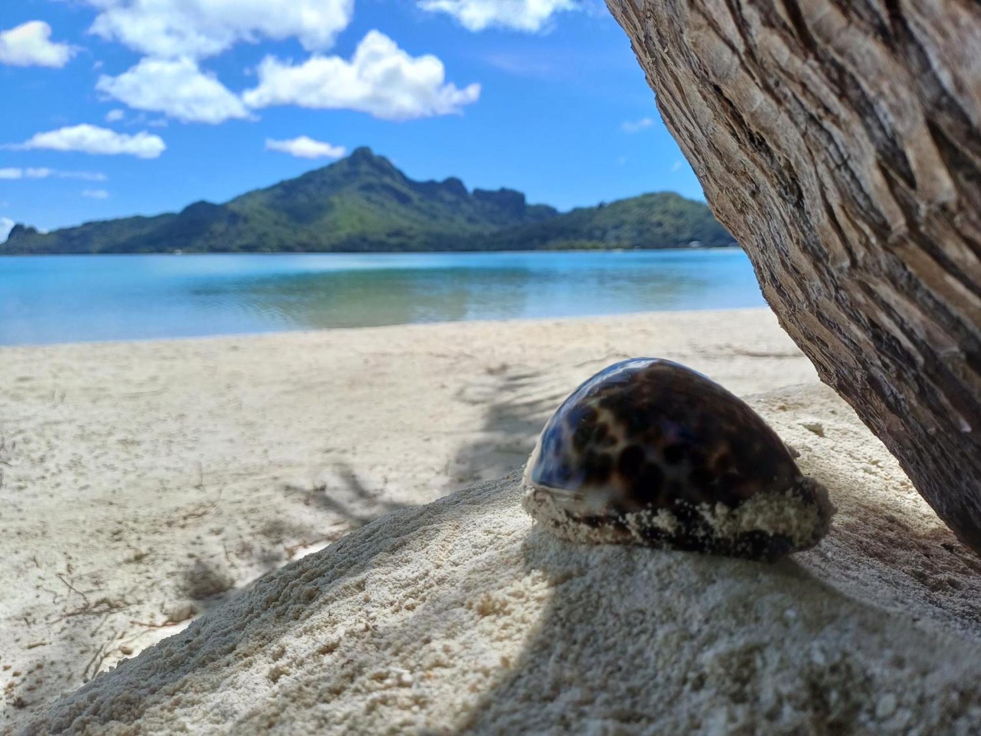 Poemanahere Island Camping A Maupiti Te-Fare-Arii المظهر الخارجي الصورة