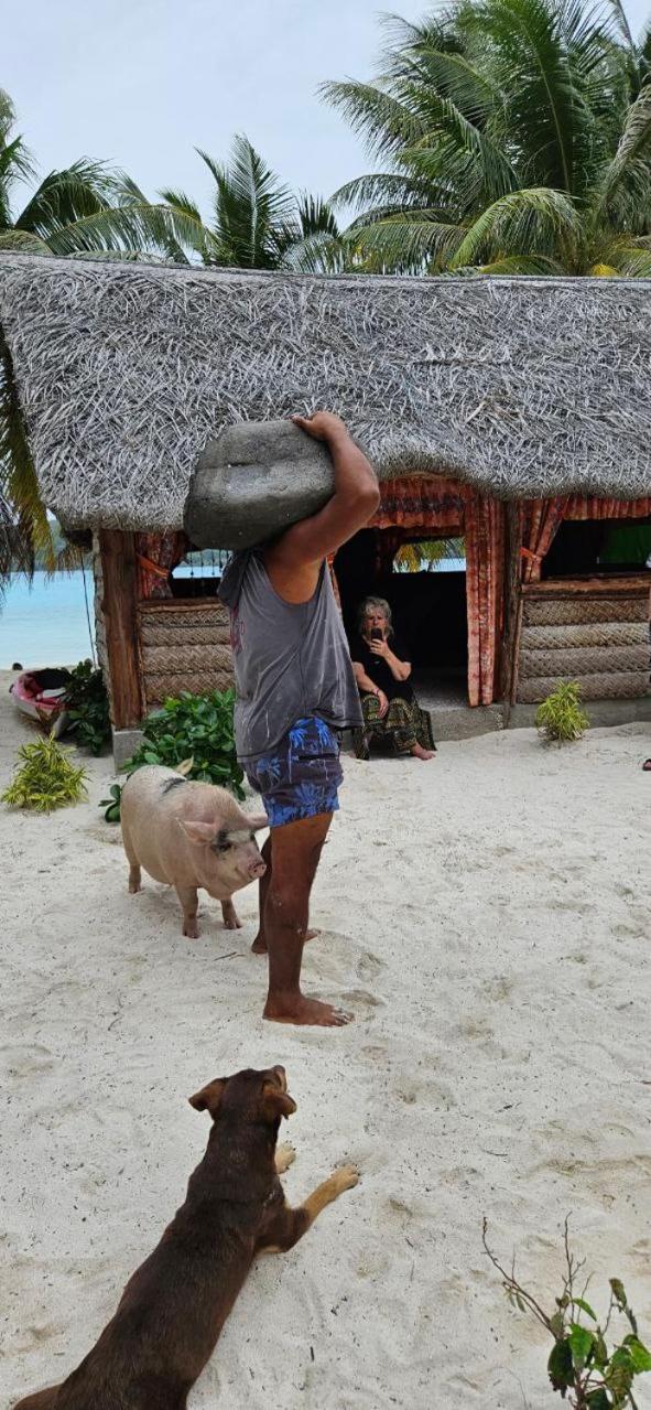 Poemanahere Island Camping A Maupiti Te-Fare-Arii المظهر الخارجي الصورة