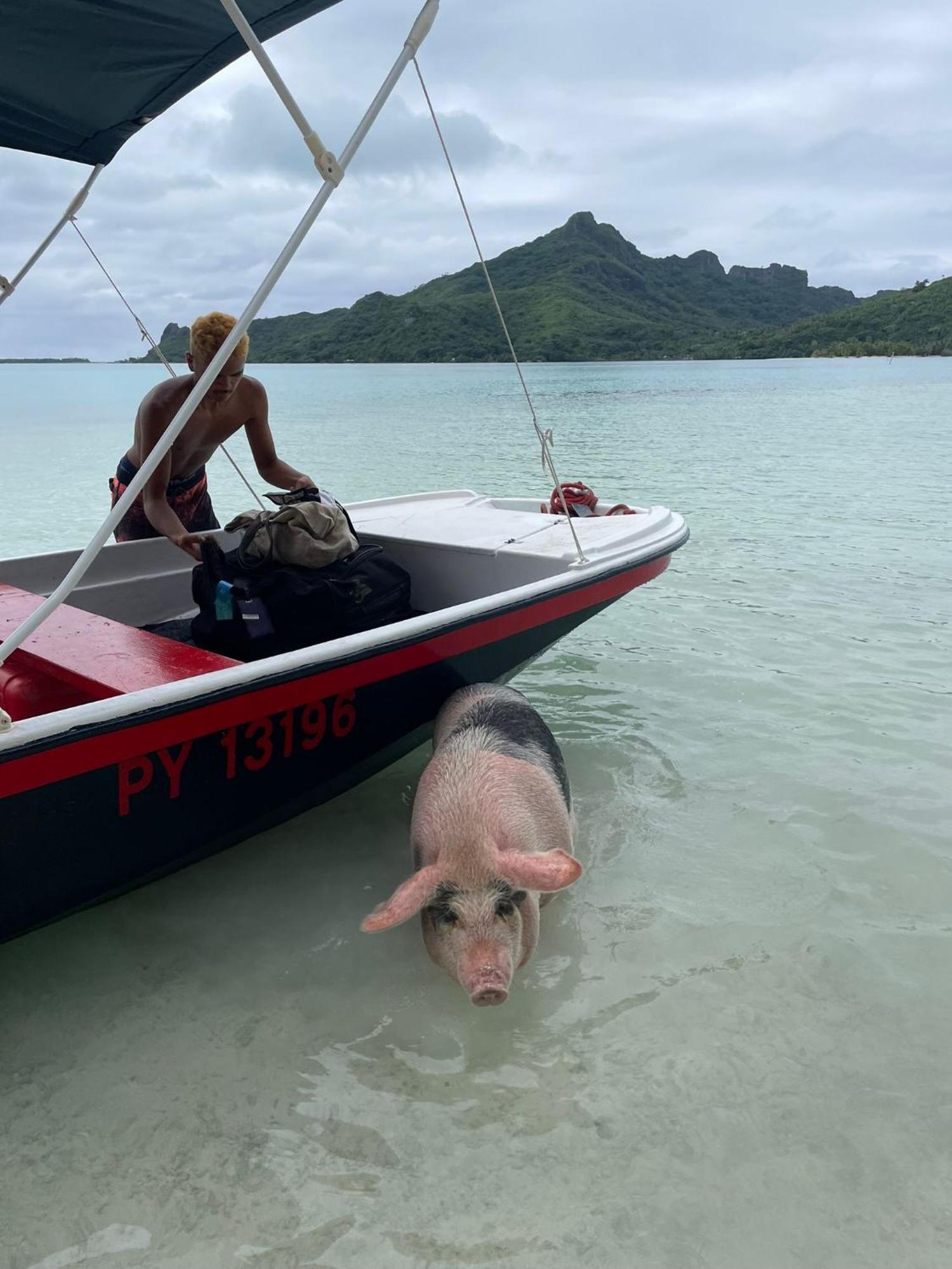 Poemanahere Island Camping A Maupiti Te-Fare-Arii المظهر الخارجي الصورة