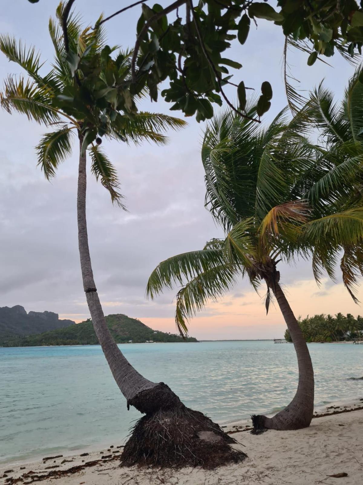 Poemanahere Island Camping A Maupiti Te-Fare-Arii المظهر الخارجي الصورة